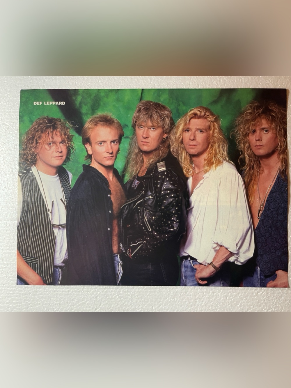 Def Leppard Band Pinup - Green Background